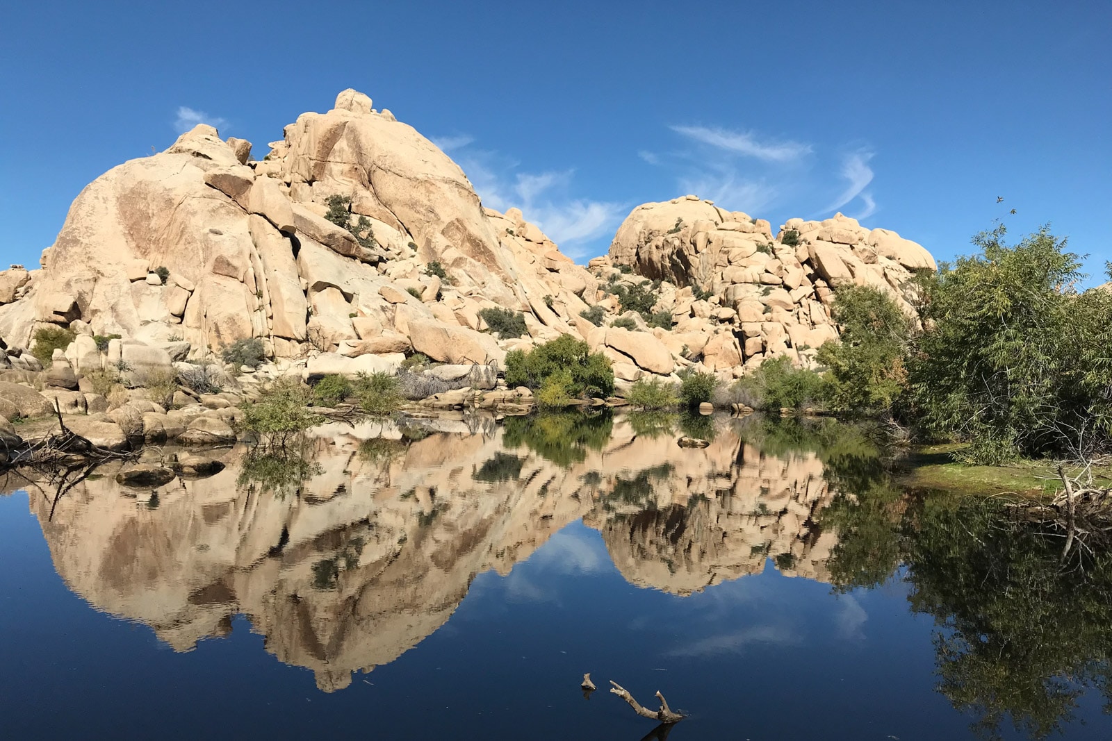 Joshua Tree Excursions